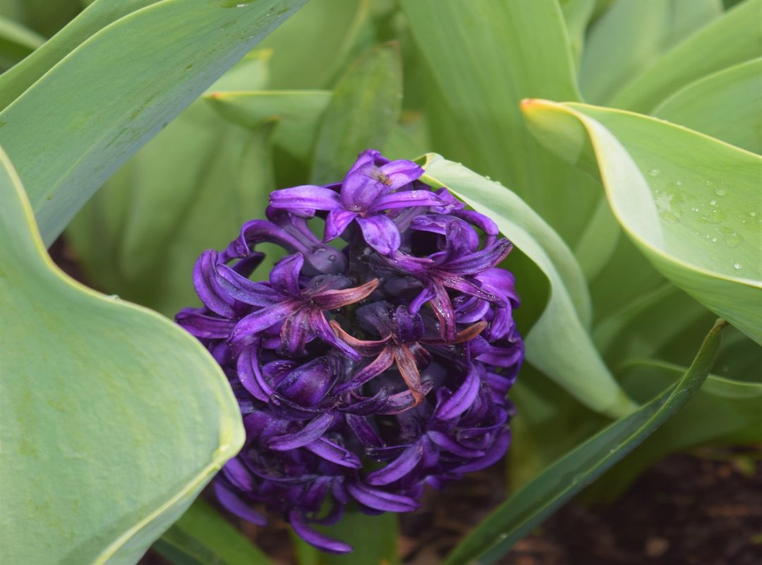 Which Online Games Is the Most Popular Feedgamebuzz