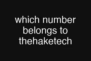 which number belongs to thehaketech